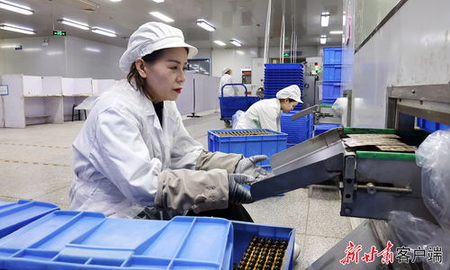 西峰區(qū) 企業(yè)趕訂單忙生產