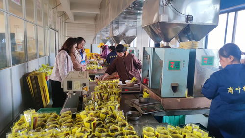 安徽休寧 抓訂單 忙生產 奮戰(zhàn)龍年 開門紅