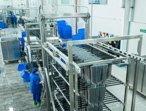 小紅薯如何做成大產業(yè) 一個武陵山區(qū)縣構建特色產業(yè)鏈觀察